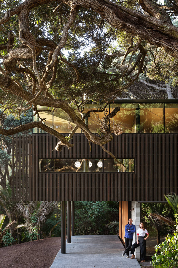 Kawakawa House Piha With Spectacular Nature Show