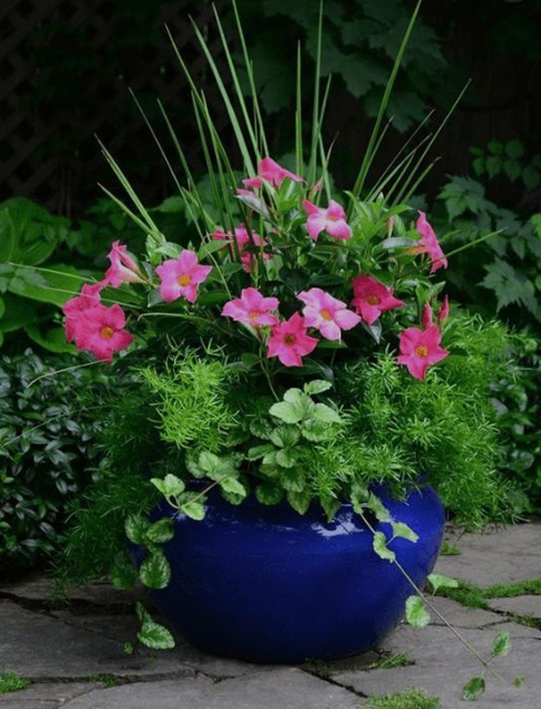 43 Gorgeous Container Garden Flowers Ideas For Summer Homemydesign