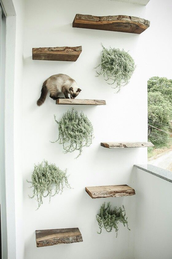 30 Modern DIY Cat Playground Ideas In Your Interior