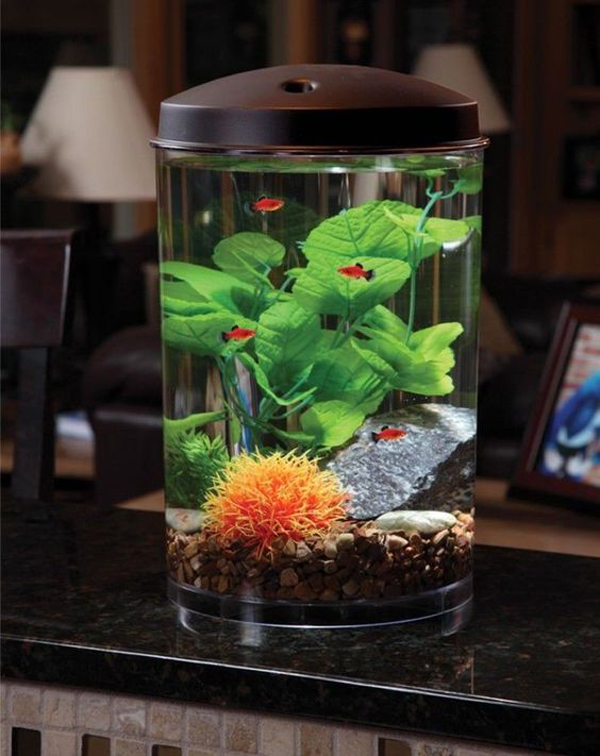 35 Modern Mini Aquarium Designs For Your Small Spaces