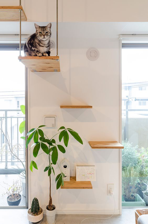 30 Modern DIY Cat Playground Ideas In Your Interior