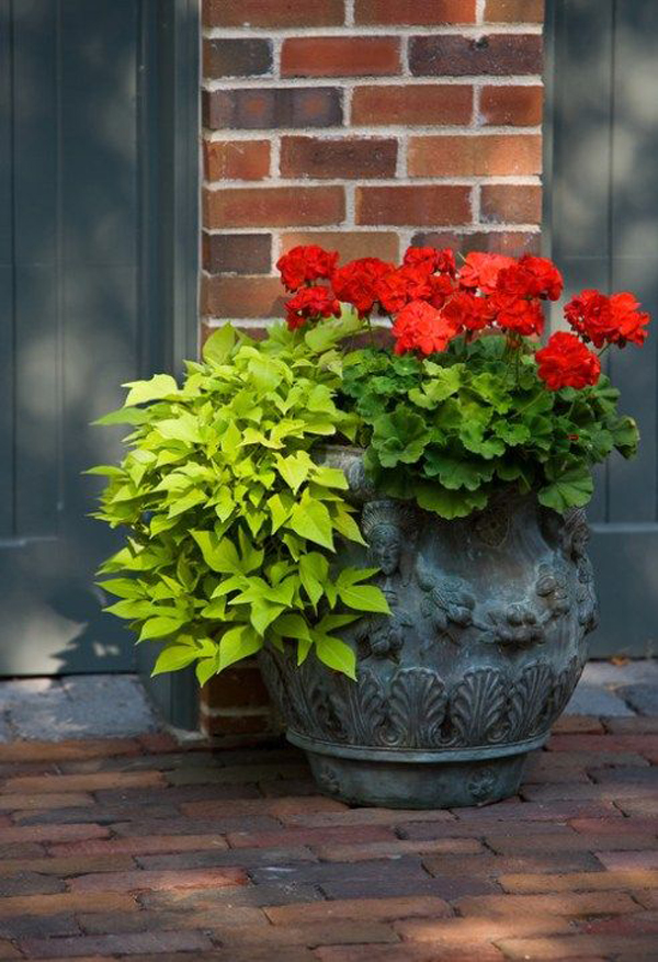 43 Gorgeous Container Garden Flowers Ideas For Summer