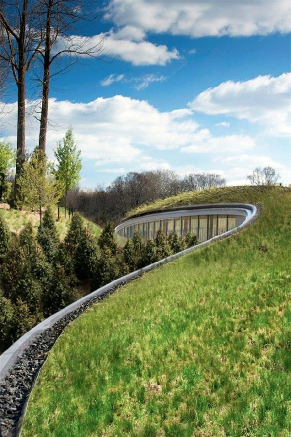 35 Modern Green Roof Designs For Sustainable House