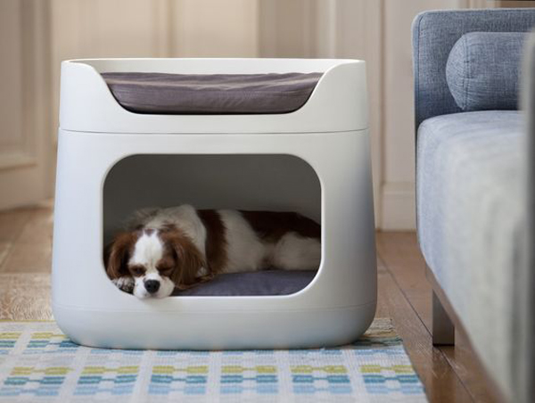 20 Modern Indoor Dog Houses For Small Dogs