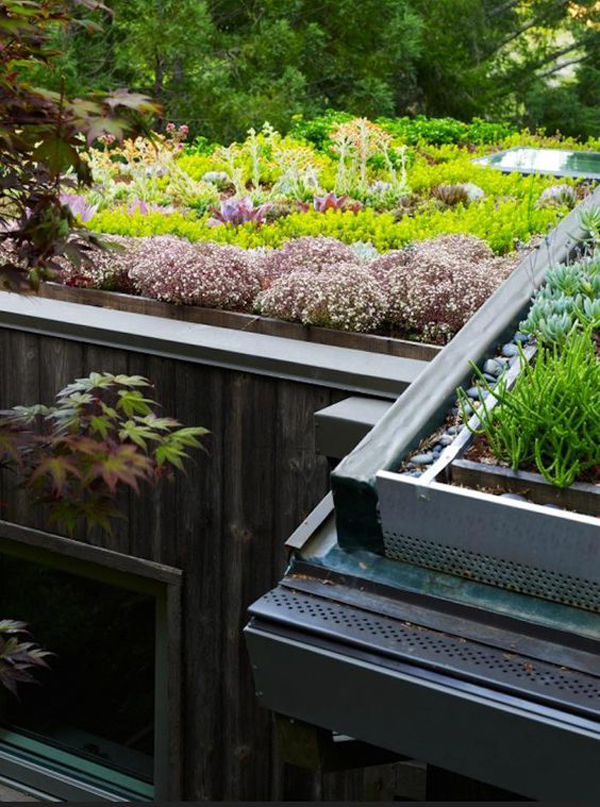 35 Modern Green Roof Designs For Sustainable House