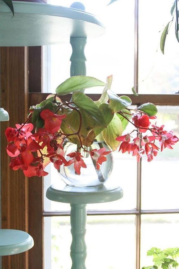 37 Indoor Water Garden Ideas That Refresh Your Interiors