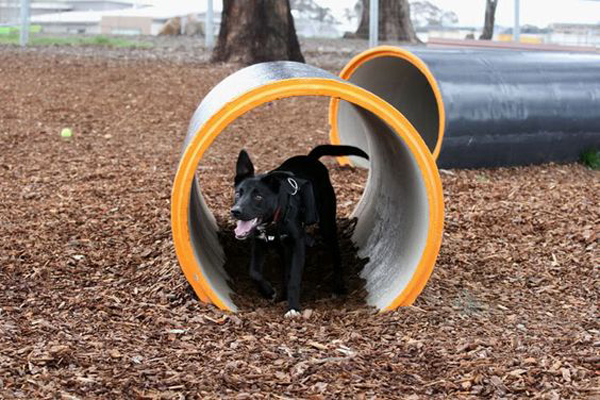 34 Simple DIY Playground Ideas For Dogs