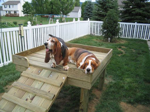 34 Simple DIY Playground Ideas For Dogs