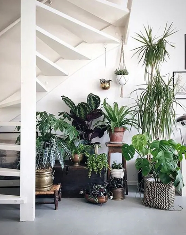 20 Most Creative Indoor Garden Ideas In Under The Stairs
