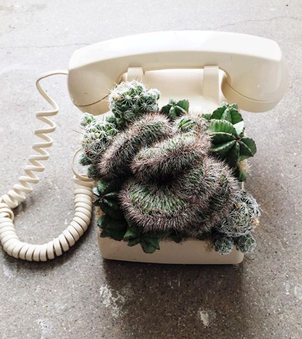 Insta Inspired: Catchy Succulent And Cactus Ideas From Botanical Project