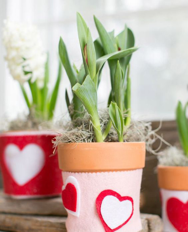 20 Most Romantic Houseplants Ideas For This Valentine Day’s