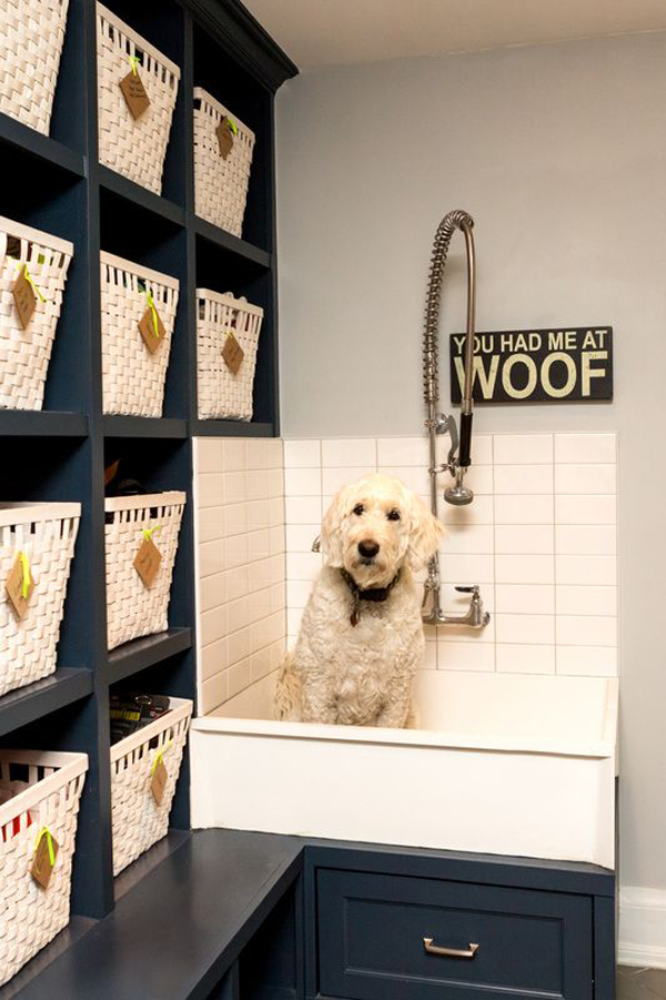 34 Dog Washing Station Ideas That Pet Will Like