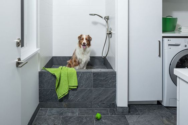 34 Dog Washing Station Ideas That Pet Will Like