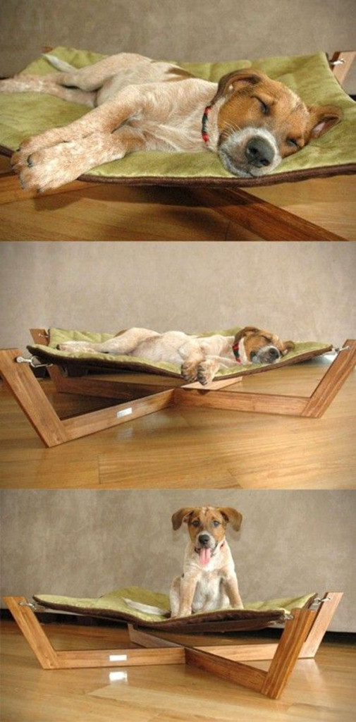 15 Creative Dog Bed Design Ideas | HomeMydesign