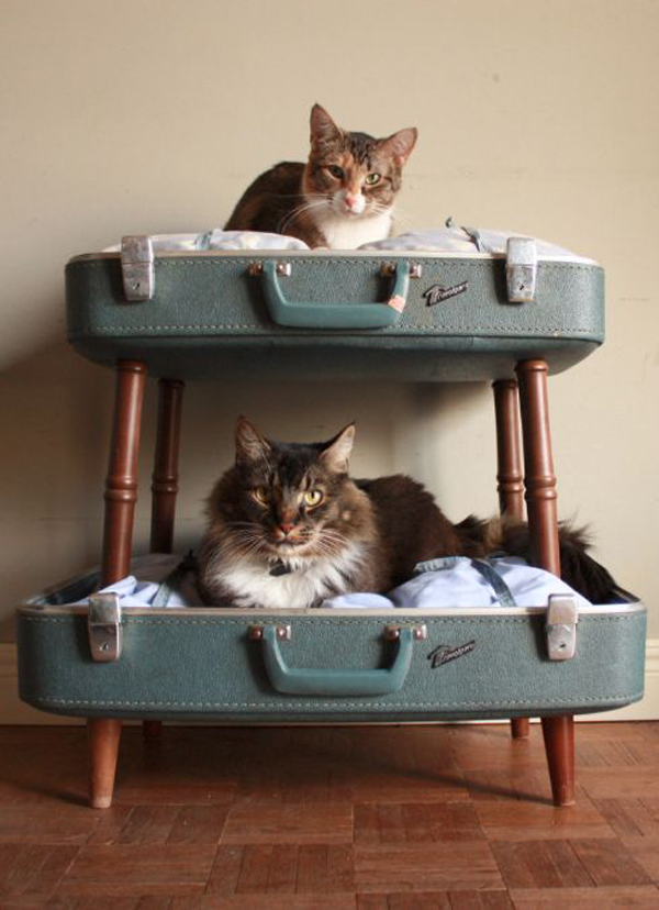 cozy-cat-beds-furniture | HomeMydesign