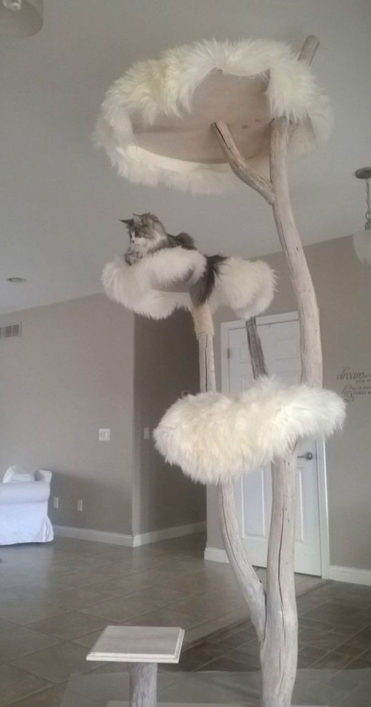 25 Indoor Cat Tree Ideas For Play And Relax Homemydesign