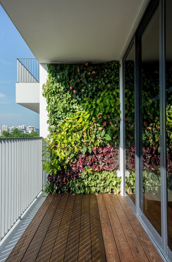 vertical-garden-wall-in-balcony | HomeMydesign