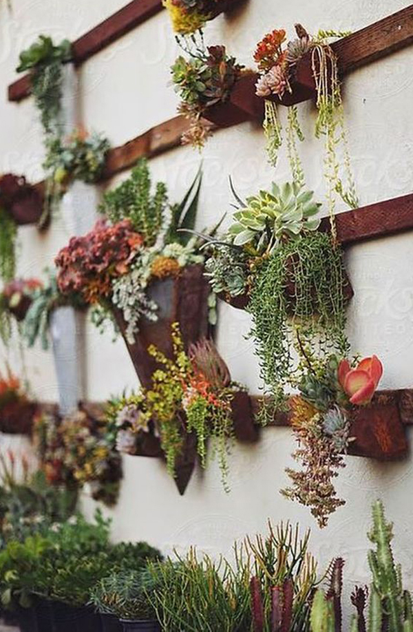 20 Gorgeous Succulent Wall Art To Display Houseplants | HomeMydesign