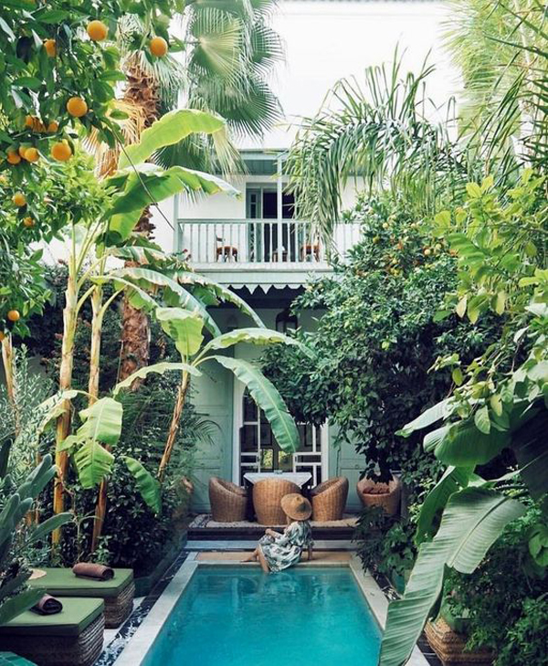 pool tropical backyard designs homemydesign