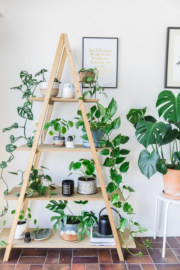 indoor-a-frame-plant-shelf-decor | HomeMydesign