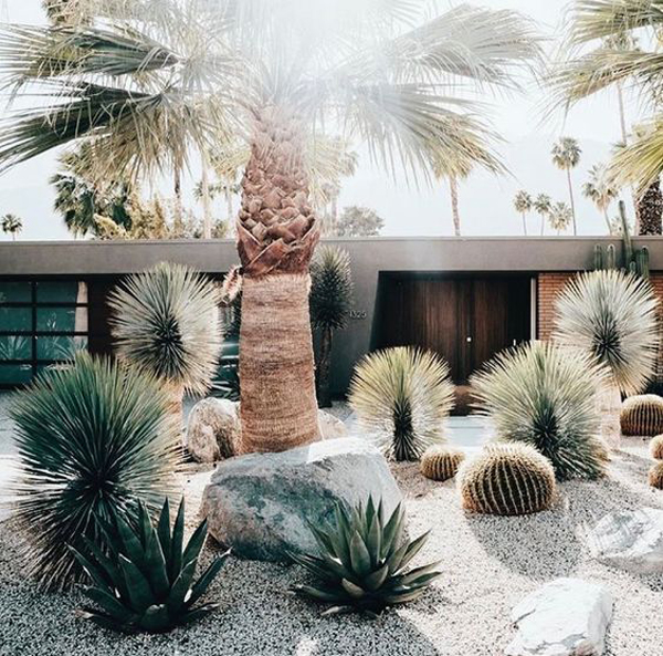 25 Beautiful Desert Landscaping Ideas, Modern Desert Landscape Backyard Design