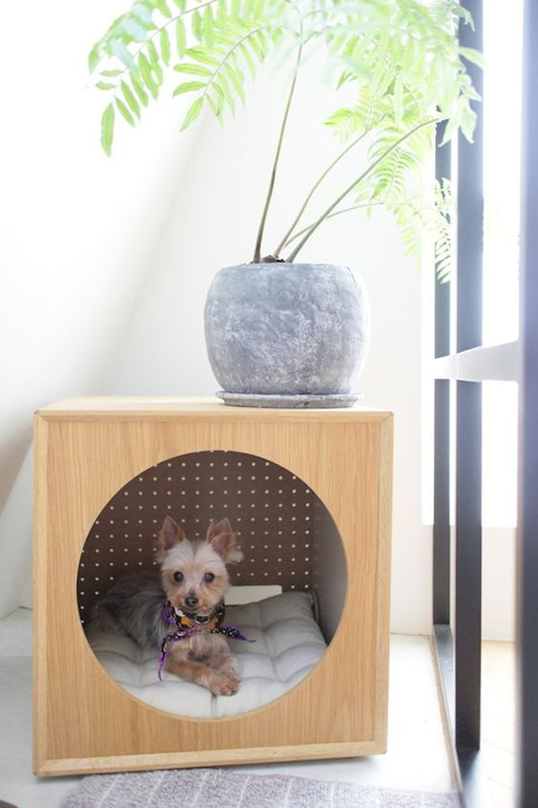 dog indoor houses diy dogs simple homemydesign modern