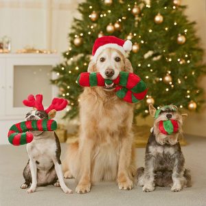 25 Fun Christmas Decorating Ideas For Pet Lovers | HomeMydesign