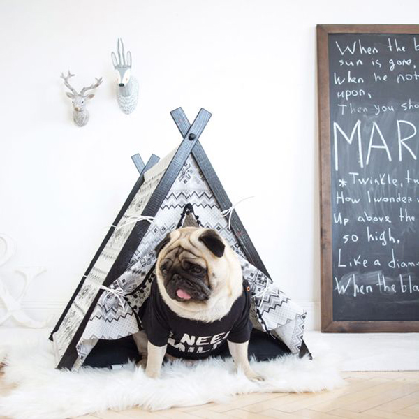 25 Dog Teepee Decor Ideas That Make Your Pet Happy