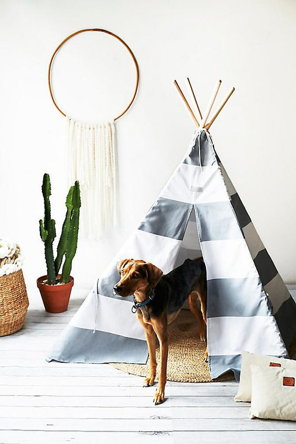 25 Dog Teepee Decor Ideas That Make Your Pet Happy