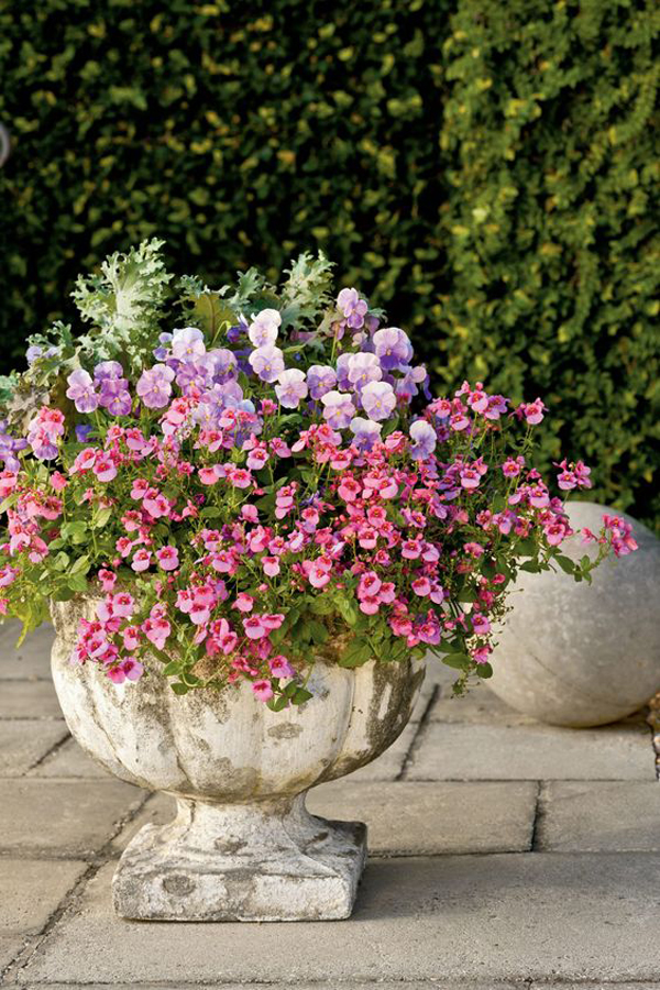 colorful-spring-container-flower-gardens | HomeMydesign