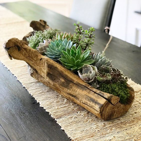driftwood-succulent-table-centerpiece-display | HomeMydesign