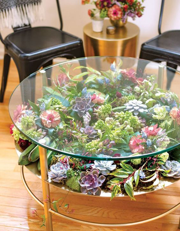 indoor-succulent-coffee-table-ideas | HomeMydesign