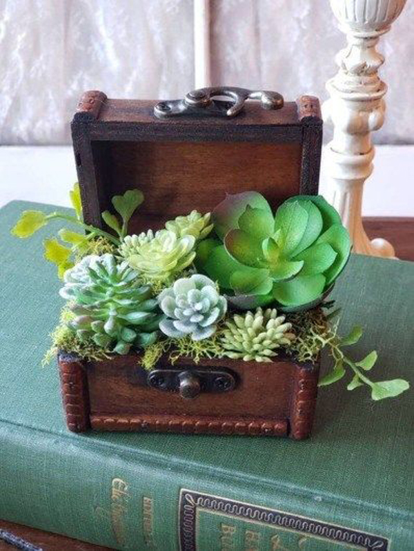 38 Indoor Succulent Display Ideas To Beautify Your Home
