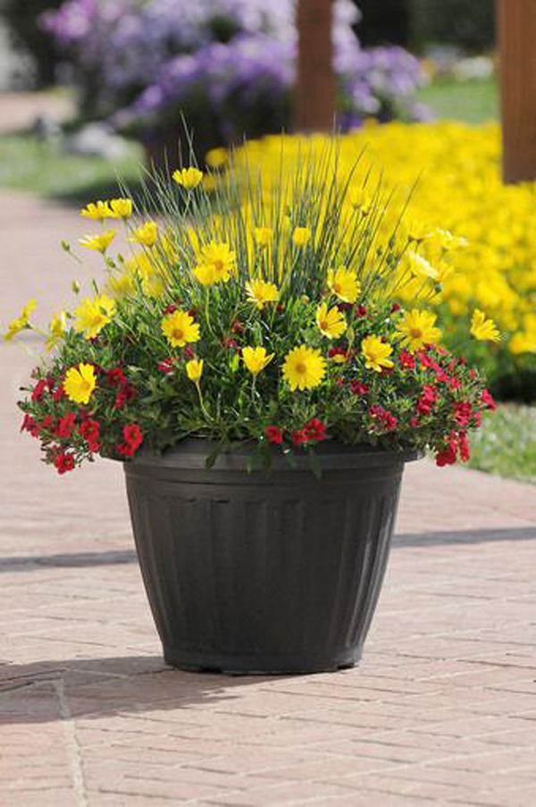 43 Beautiful Container Gardens For Spring Season