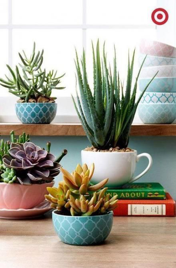 38 Indoor Succulent Display Ideas To Beautify Your Home