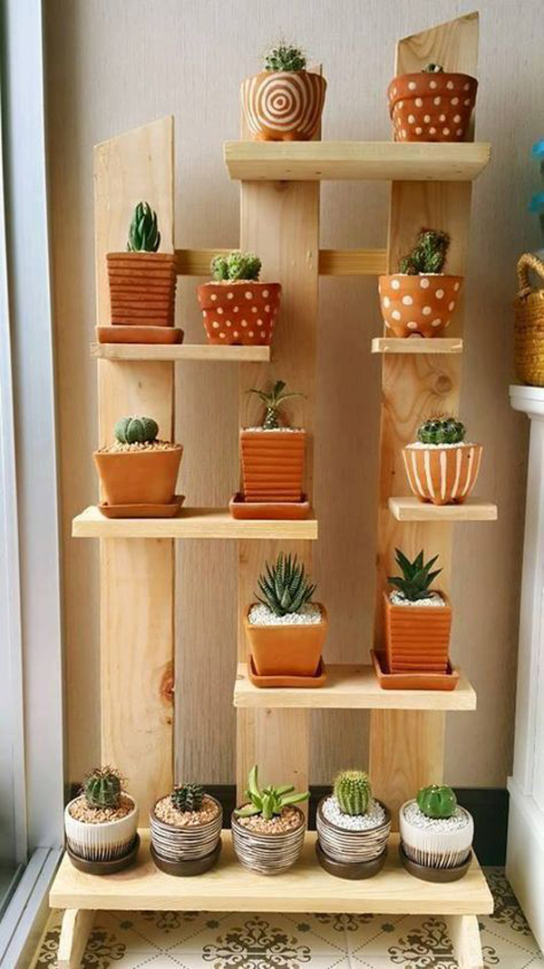 wood-diy-succulent-display-racks | HomeMydesign