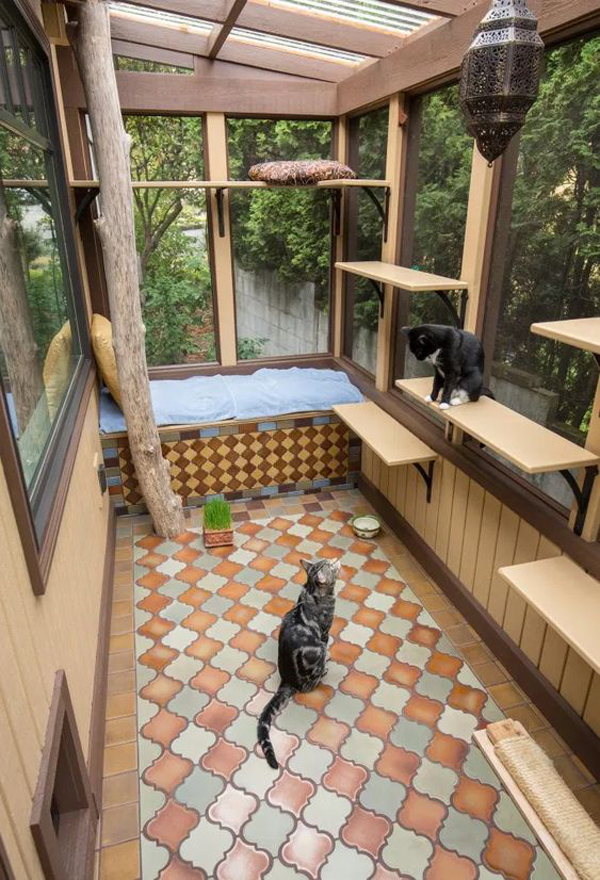 cozy-cat-patios-and-play-area | HomeMydesign
