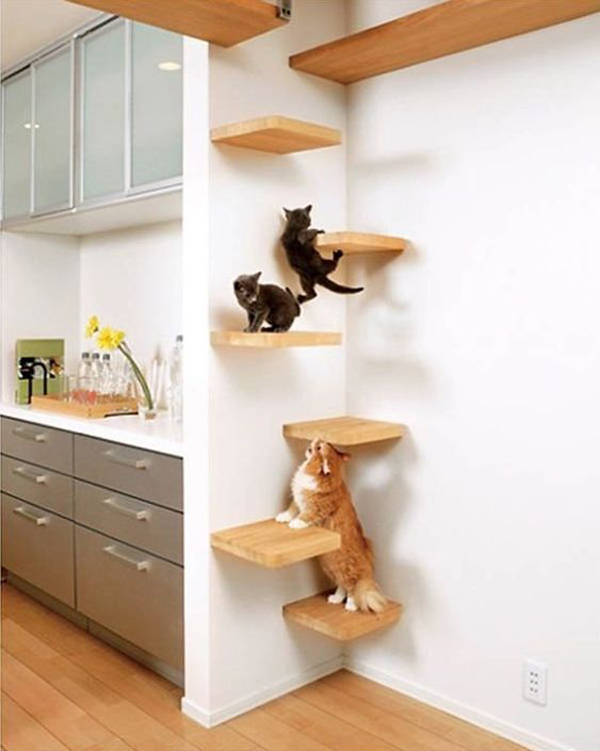 30+ Easy DIY Cat Shelves Ideas That Will Wow Them