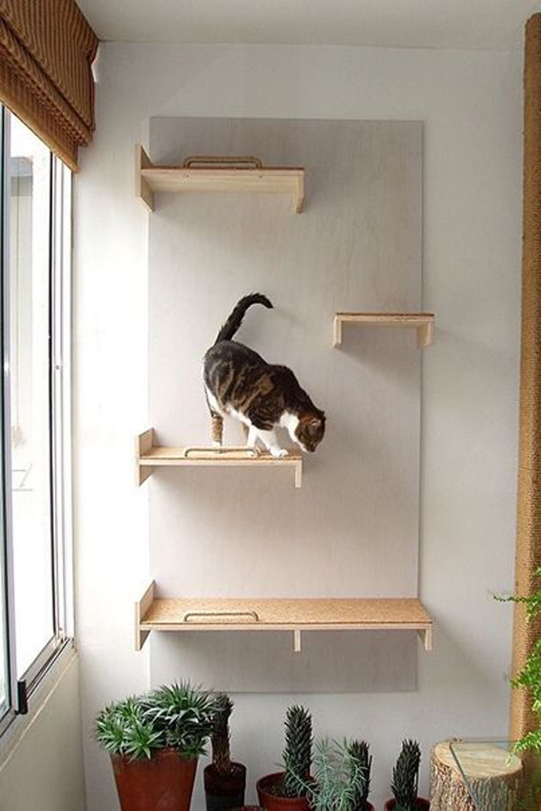 30+ Easy DIY Cat Shelves Ideas That Will Wow Them ...