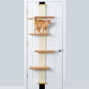 over the door cat toy