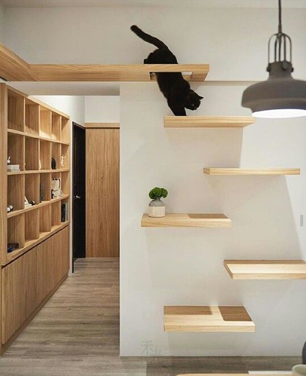30 Easy Diy Cat Shelves Ideas That, How To Build Cat Shelves