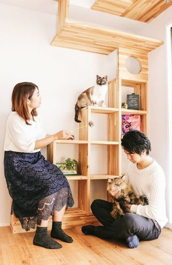 30 Easy Diy Cat Shelves Ideas That, Cat Room Shelves
