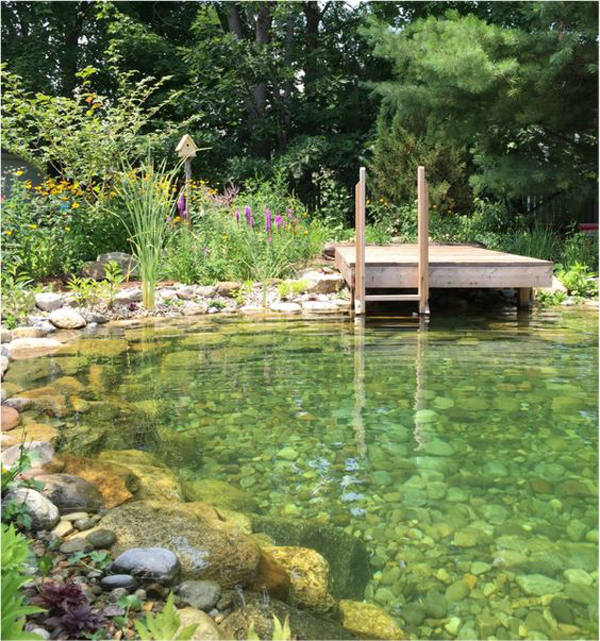 Fresh Outdoor: Best Natural Pools And Swimming Ponds In The Backyard