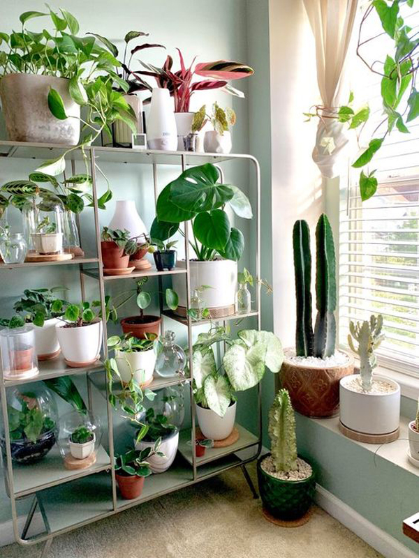 40 Eye-catching Plant Setting Ideas To Beautify Your Interior
