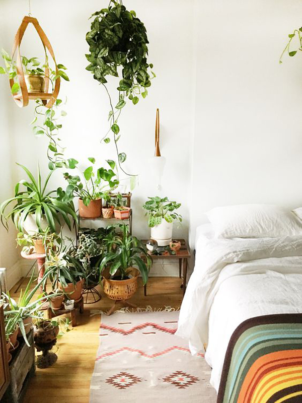 mini-urban-jungle-setting-for-bedroom | HomeMydesign