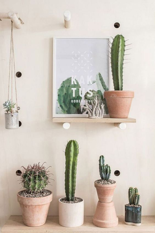 40 Eye-catching Plant Setting Ideas To Beautify Your Interior