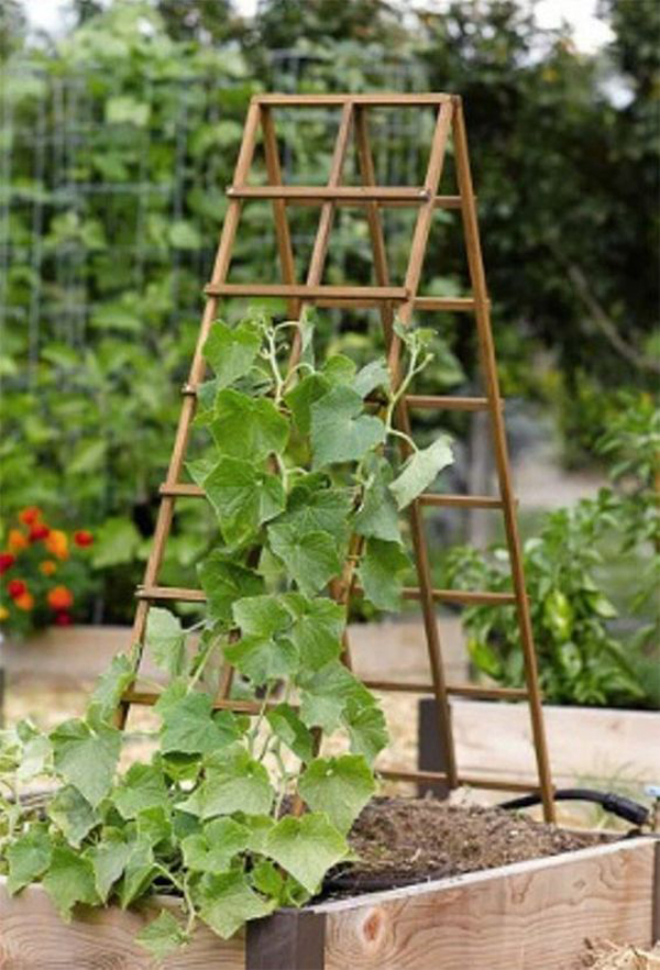 12 Creative DIY Garden Trellis Ideas For Outdoor Aesthetic