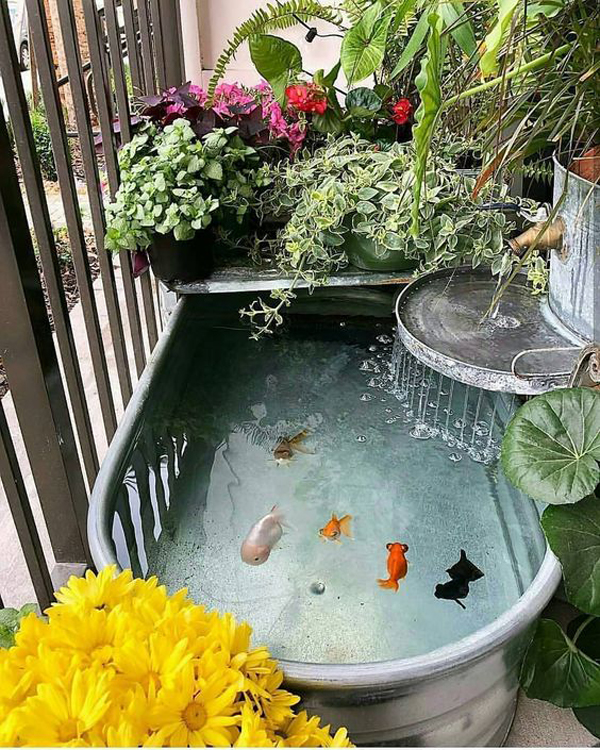 diy-stock-tank-pond-for-indoor homemydesign