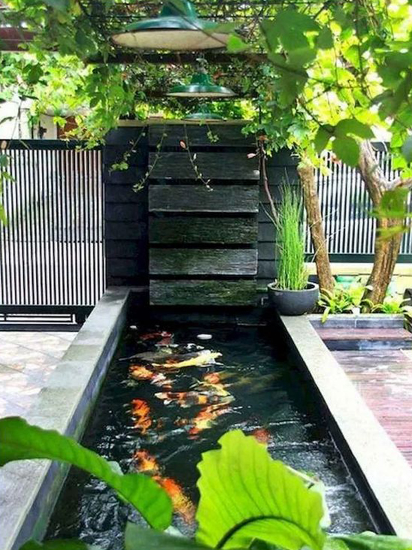 minimalist koi pond with houseplants