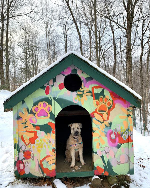 11 Dog House Painting With Splash Of Arts